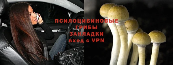 МДПВ Краснотурьинск