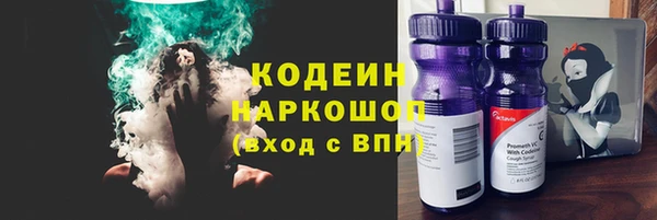 стаф Краснослободск