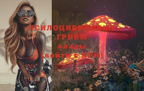 стаф Краснослободск