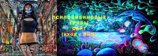мяу мяу мука Лабытнанги