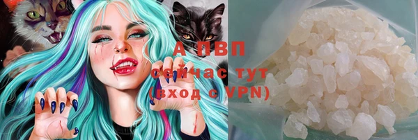 круглые Ладушкин