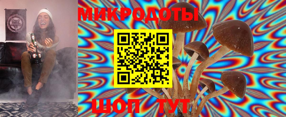 купить наркоту  Псилоцибиновые грибы MAGIC MUSHROOMS  Вход с VPN  Галлюциногенные грибы MAGIC MUSHROOMS  Кировск 