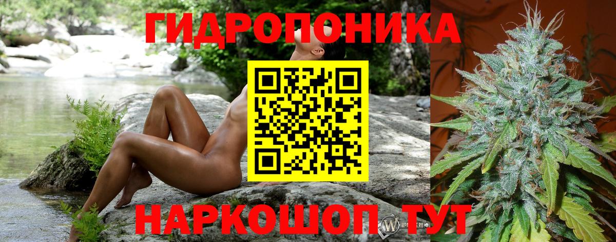 МАРИХУАНА план Кировск